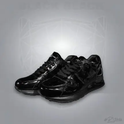 Louis Vuitton baskets  classique brillante