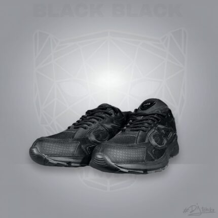Dior B30 x stone island black